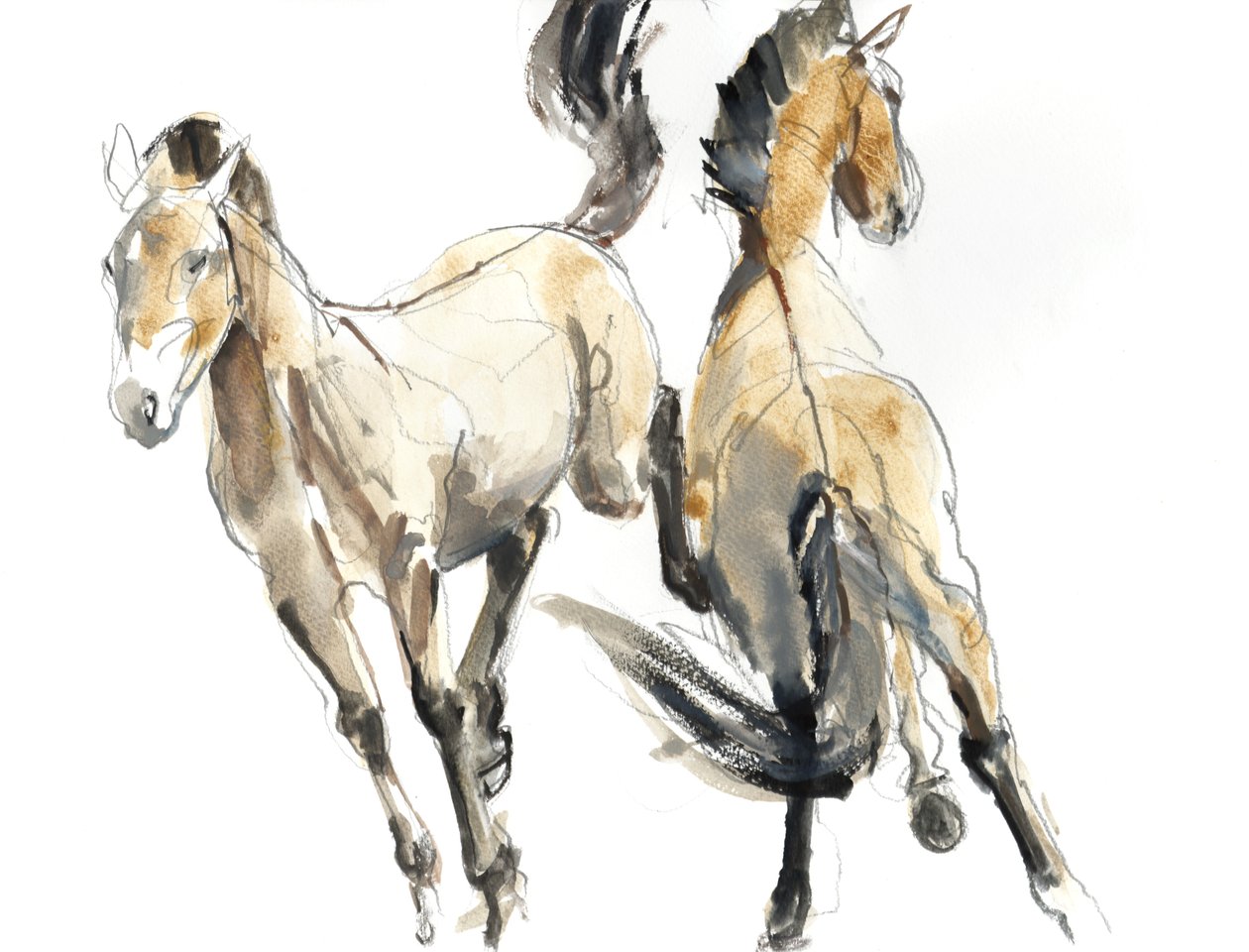 Horsing, 2013 (akvarel og pigment på papir) af Mark Adlington