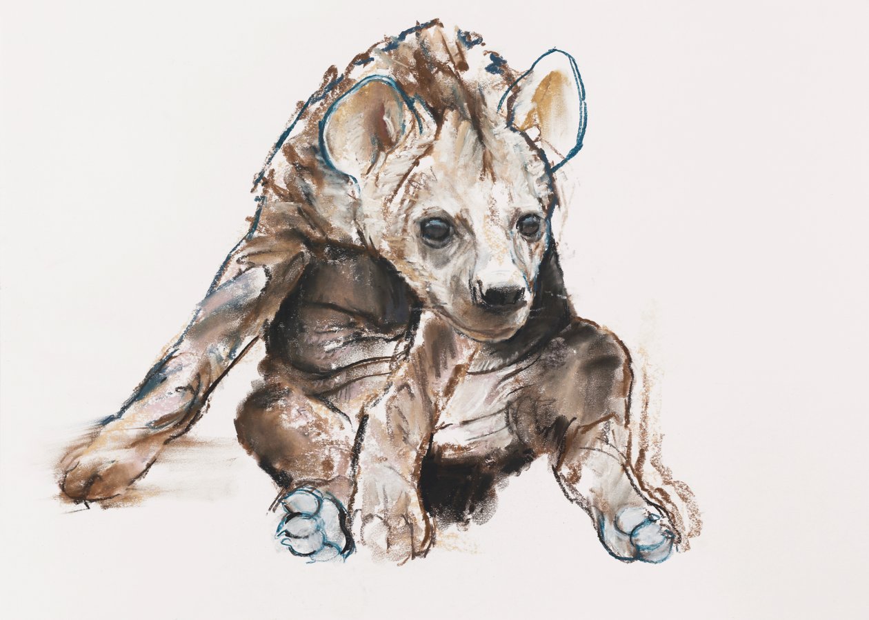 Hyaena Pup (hoved ned), 2019 af Mark Adlington
