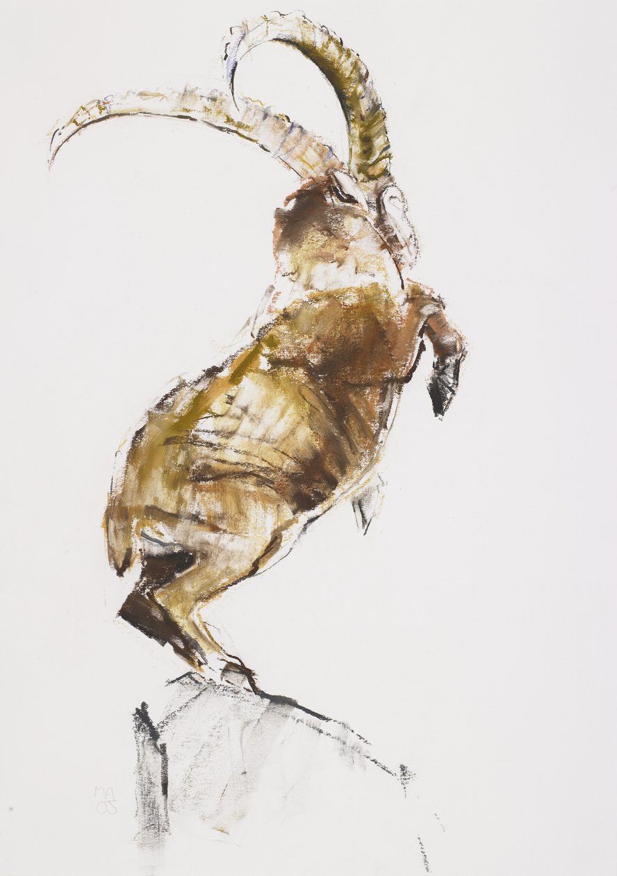 King of the Mountain, 2005 (charcoal und conte på papir) af Mark Adlington