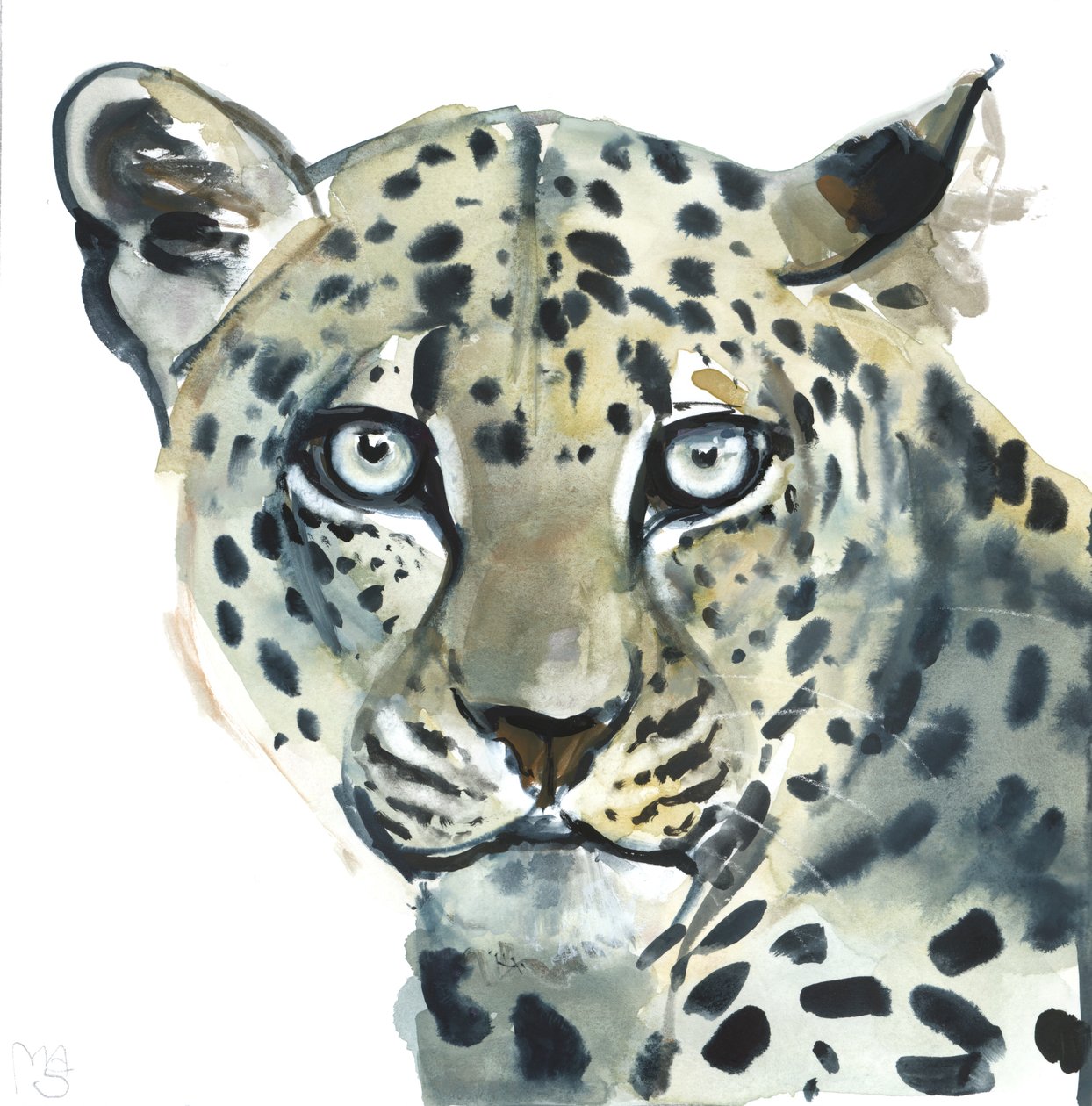 Leopard, 2015, (akvarel på papir) af Mark Adlington
