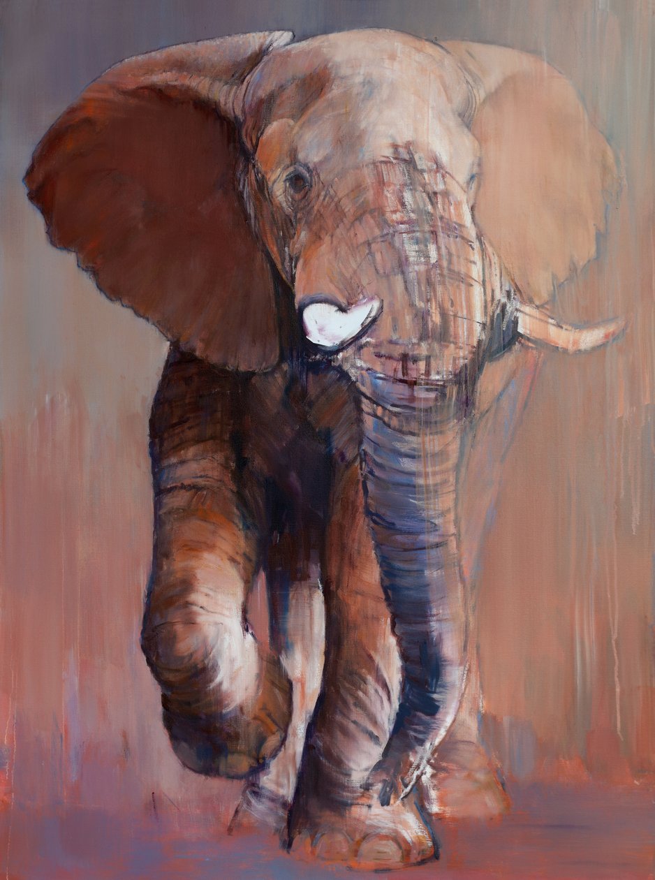 Loisaba Bull, 2018 af Mark Adlington