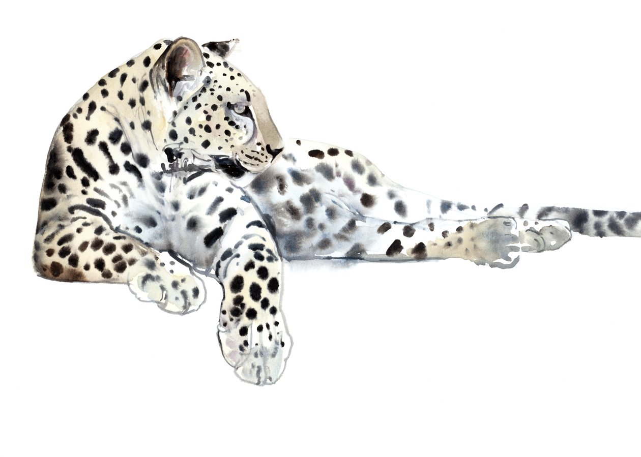 Long (Arabian Leopard), 2015, (akvarel og gouache på papir) af Mark Adlington