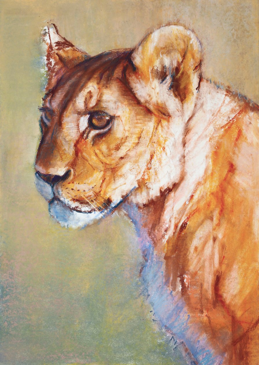 Lookout, 2019 af Mark Adlington