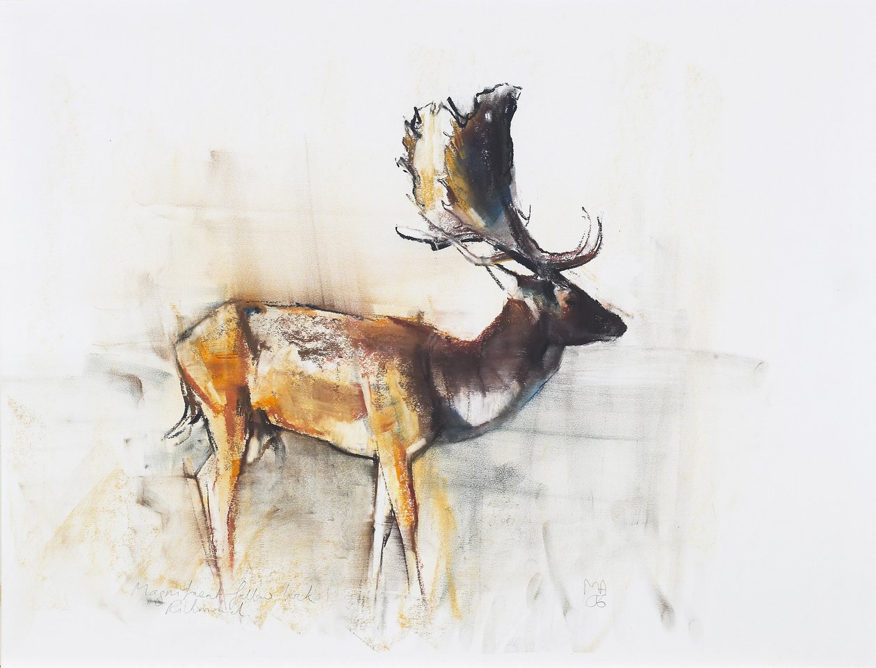 Magnificent Fallow Buck, 2006 (charcoal und conte på papir) af Mark Adlington