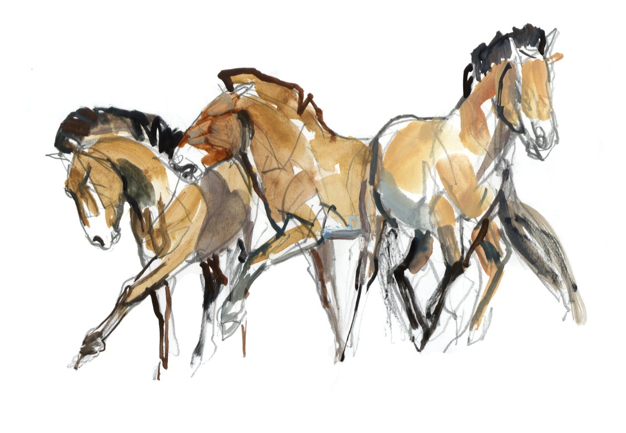 Mistral Three (Przewalski), 2013 (sennelierblæk, akvarel og gouache) af Mark Adlington
