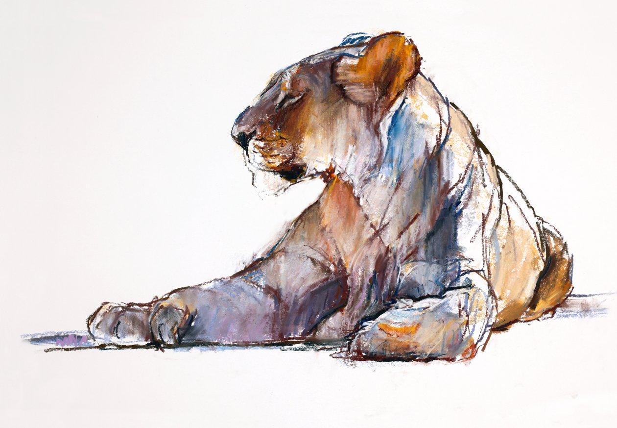 Morgen, 2019 af Mark Adlington