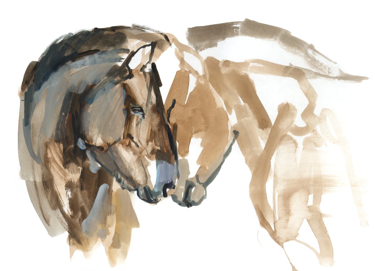 Næse til næse (Przewalski), 2013 (sennelier blæk, akvarel og gouache) af Mark Adlington