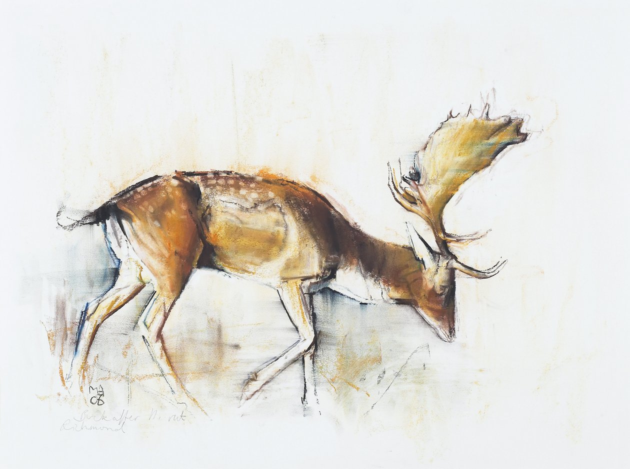 Pisanello Buck, 2006 (charcoal und conte på papir) af Mark Adlington