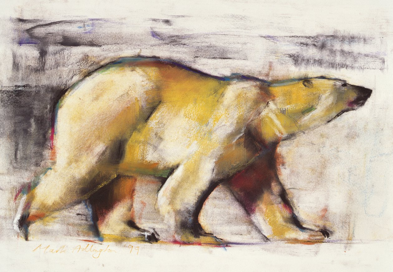 Polar Bear (blandet medie på papir) af Mark Adlington