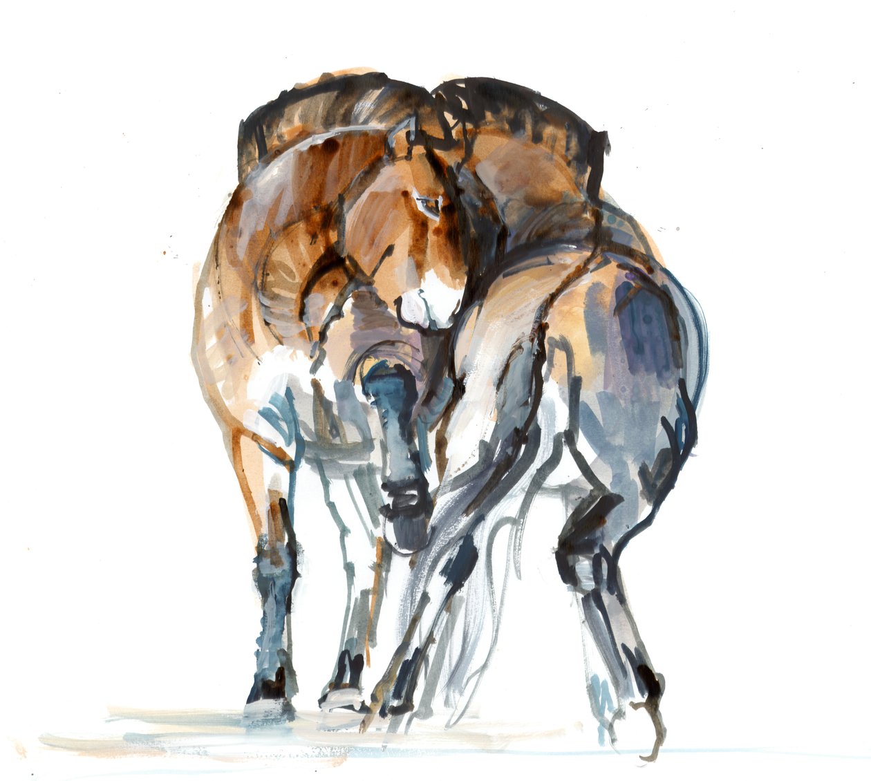 Power Dance (Przewalski), 2013 (sennelierblæk, akvarel og gouache) af Mark Adlington