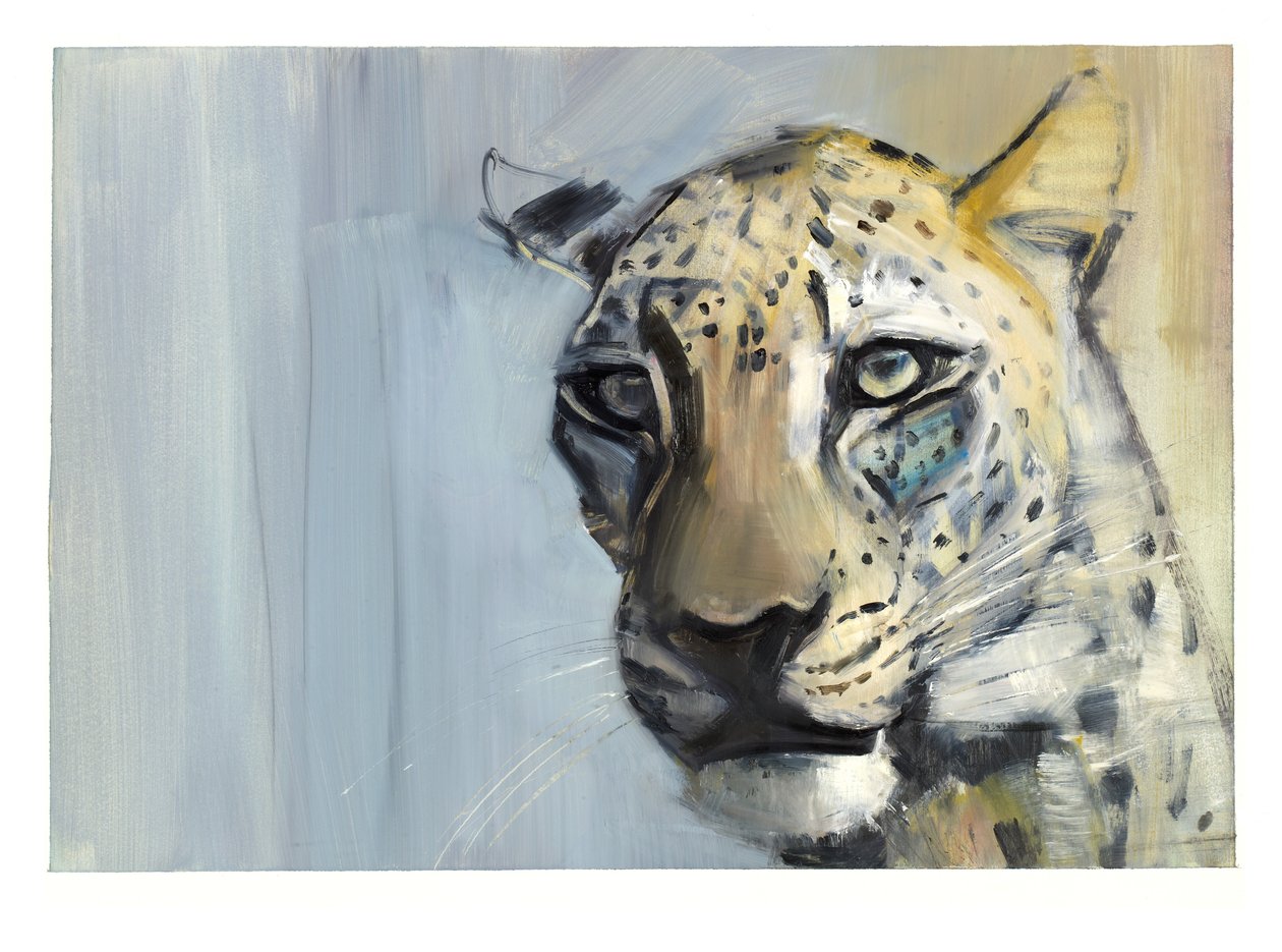 Predator (arabisk leopard), 2009 (olie på papir) af Mark Adlington