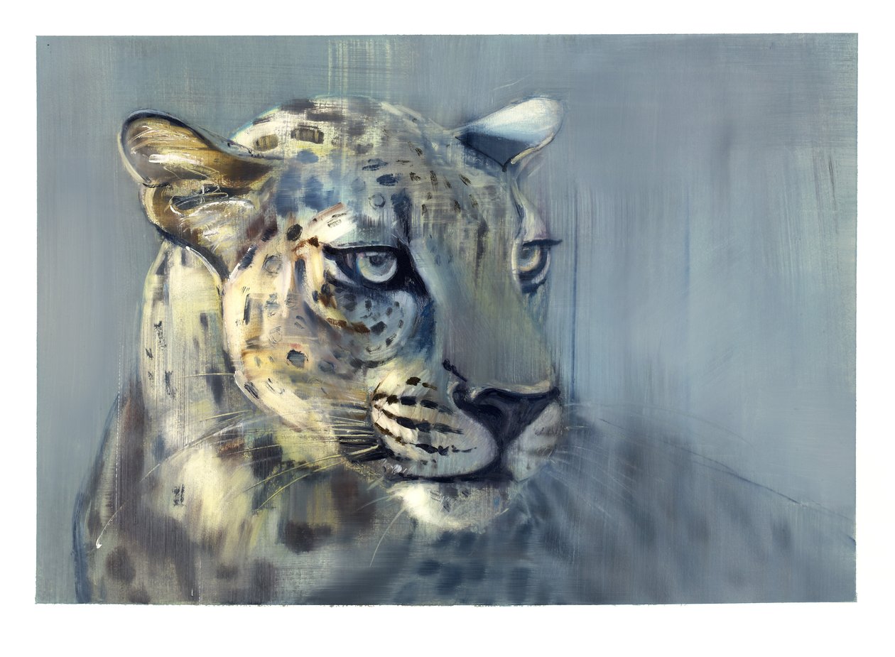 Predator II (Arabian Leopard), 2009 (olie på papir) af Mark Adlington