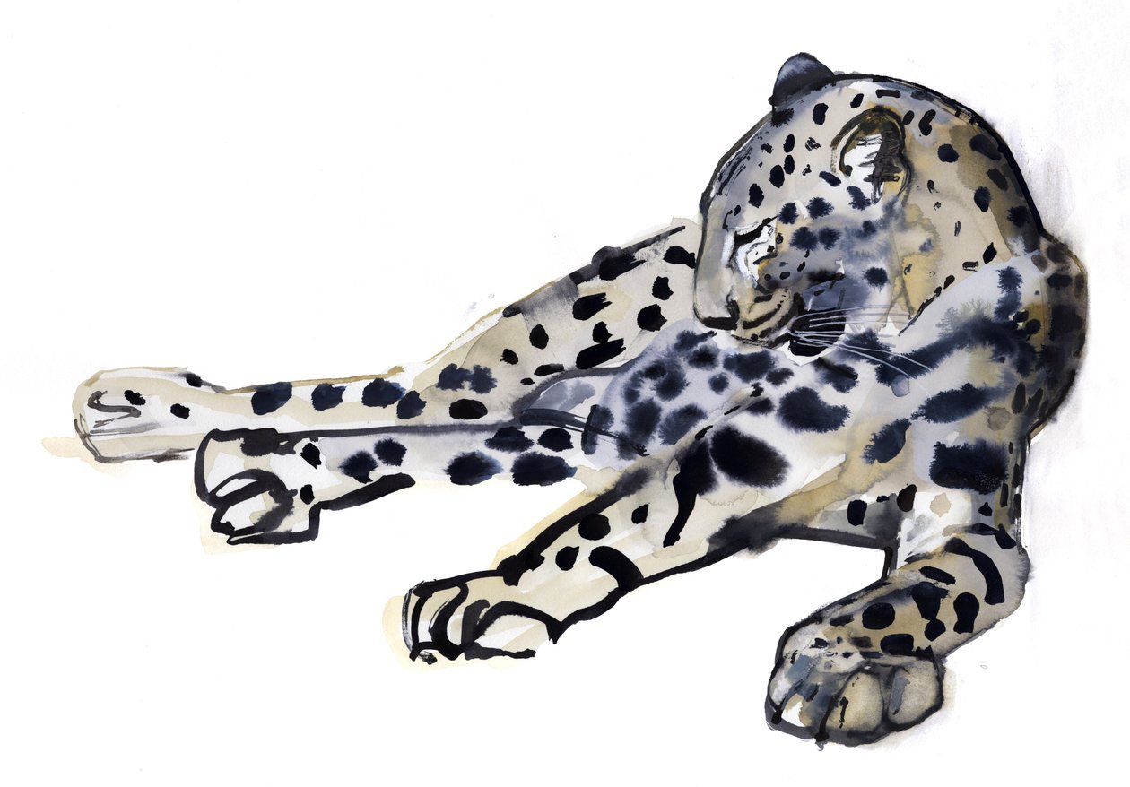 Liggende (arabisk leopard), 2008 af Mark Adlington