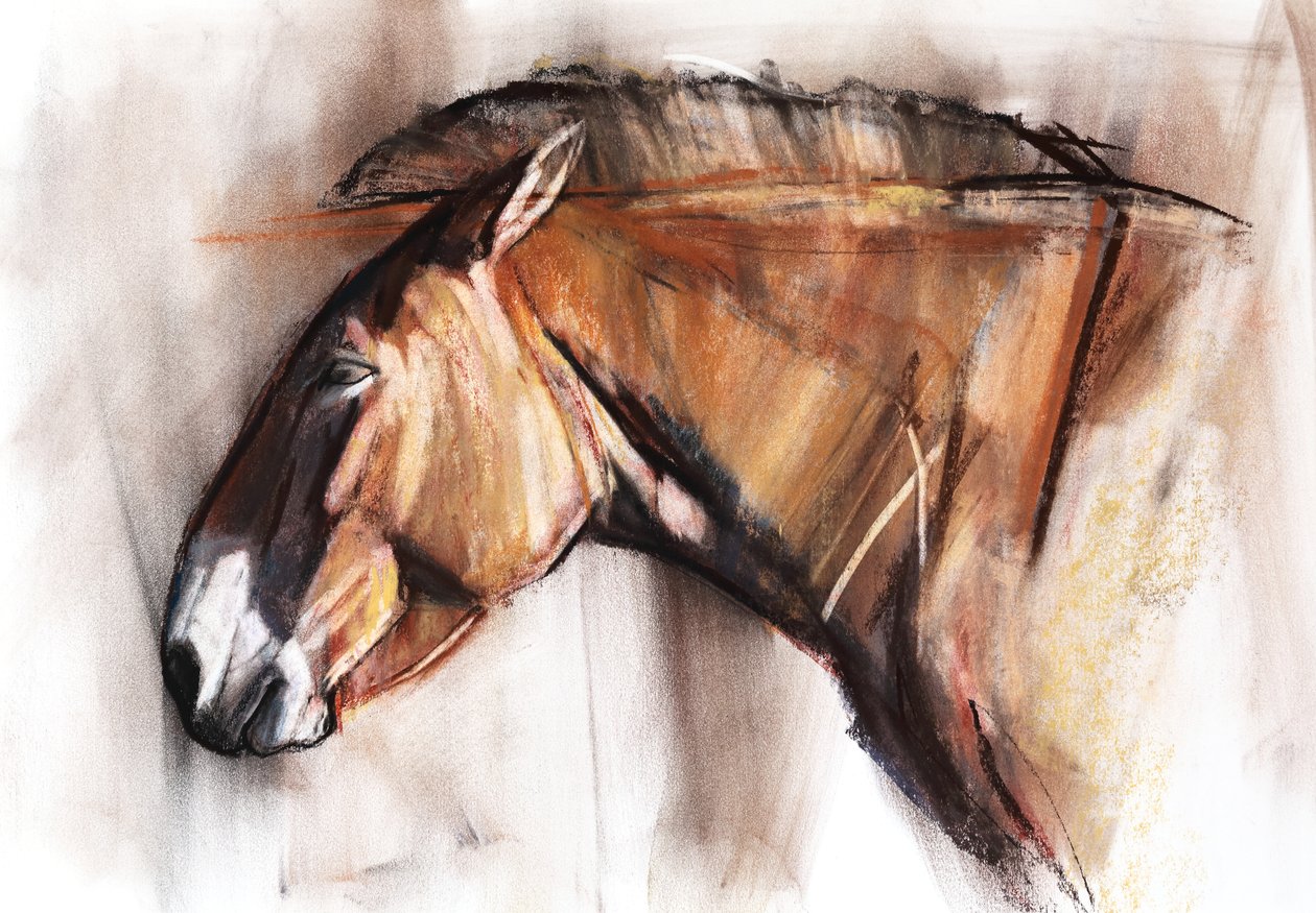 Resting Horse, 2013, (pastel og kul på papir) af Mark Adlington