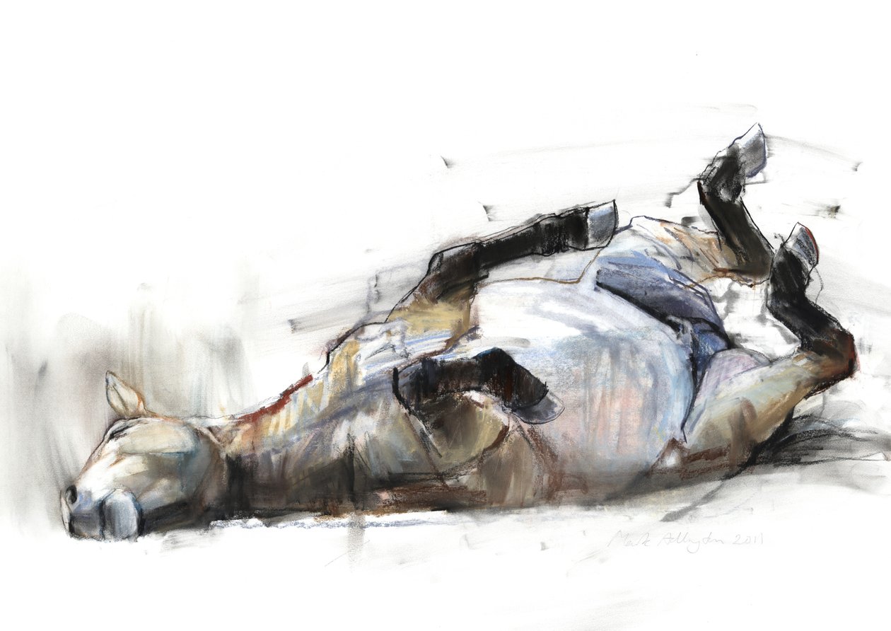 Rolling Rolling Rolling Rolling, 2011, (trækul, conté og pastel på papir) af Mark Adlington