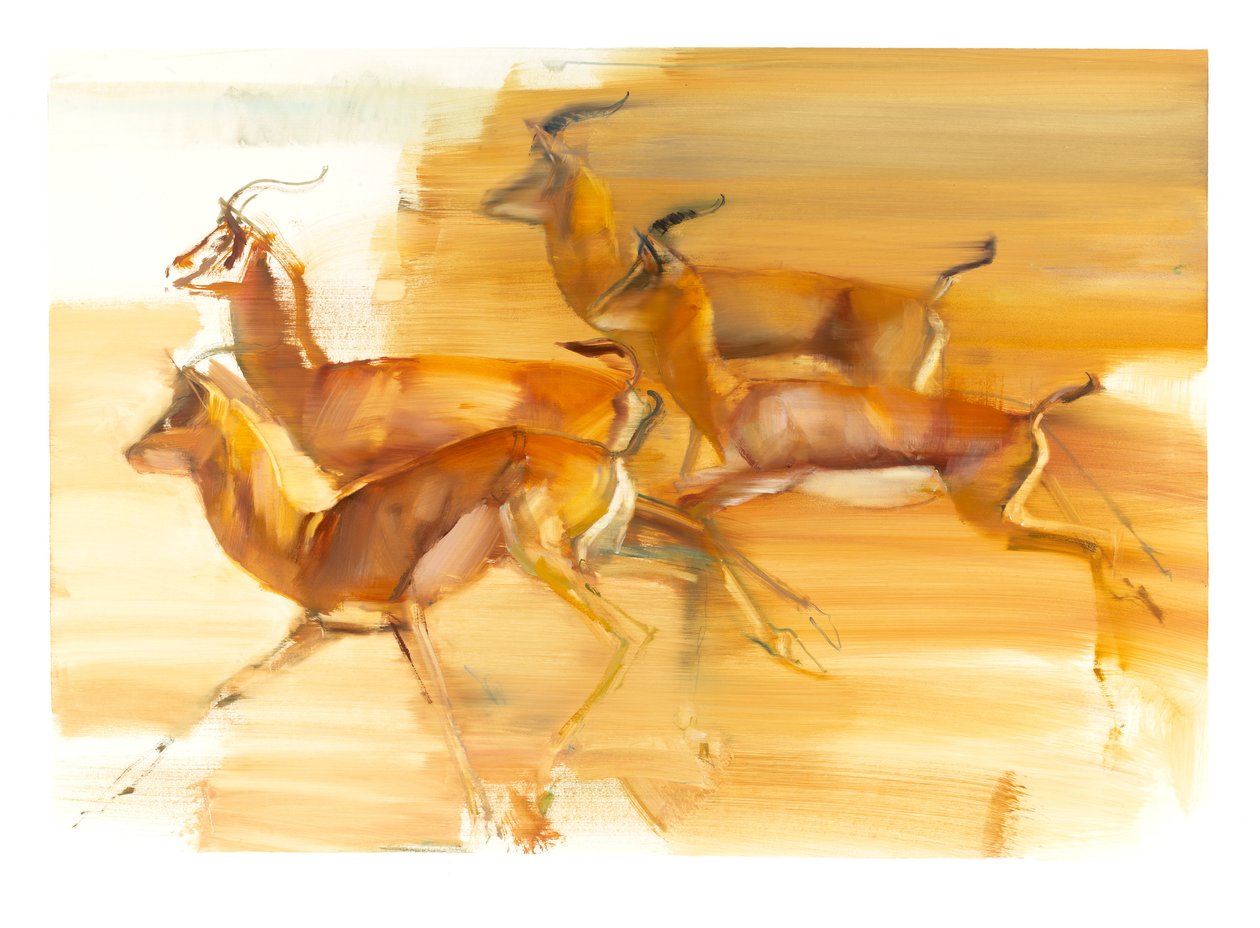Running Gazelles, 2010 (olie på papir) af Mark Adlington