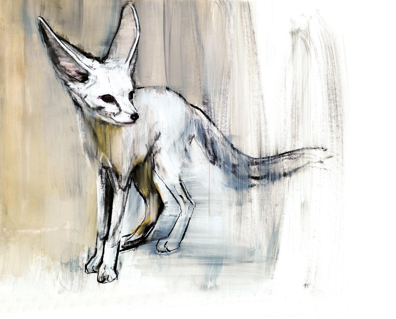 Sand Fox, 2009 (conte und charcoal på papir) af Mark Adlington