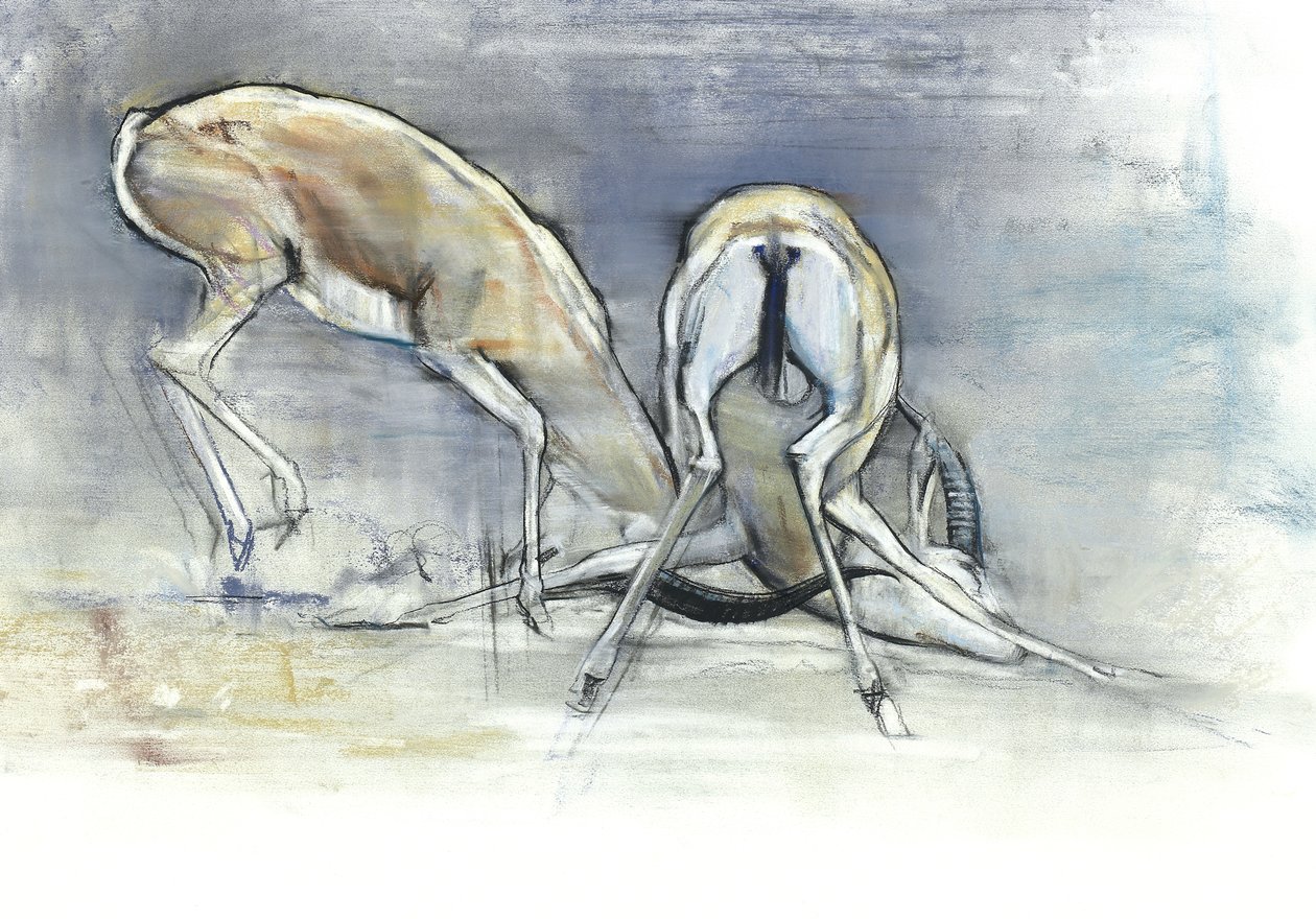 Sand Gazelles, 2009 (konte og trækul på papir) af Mark Adlington