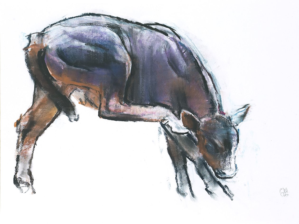 Scratching Calf, 2006 (charcoal und conte på papir) af Mark Adlington