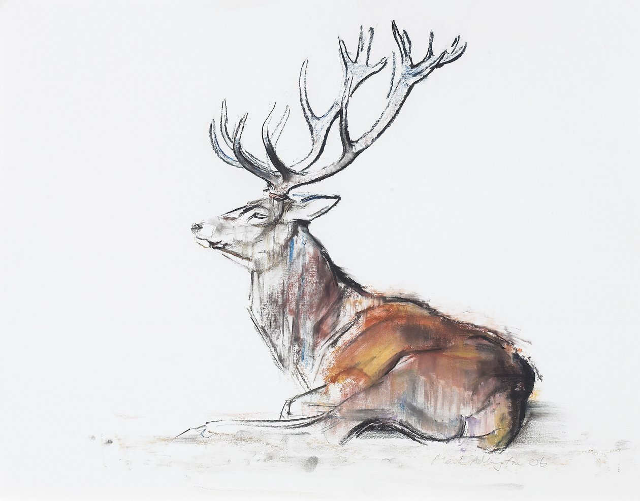 Seated Stag, 2006 (charcoal und conte på papir) af Mark Adlington