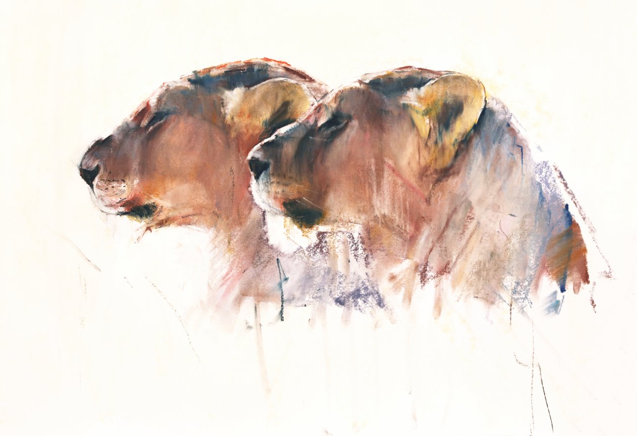Sisters, Etosha, 2017 af Mark Adlington