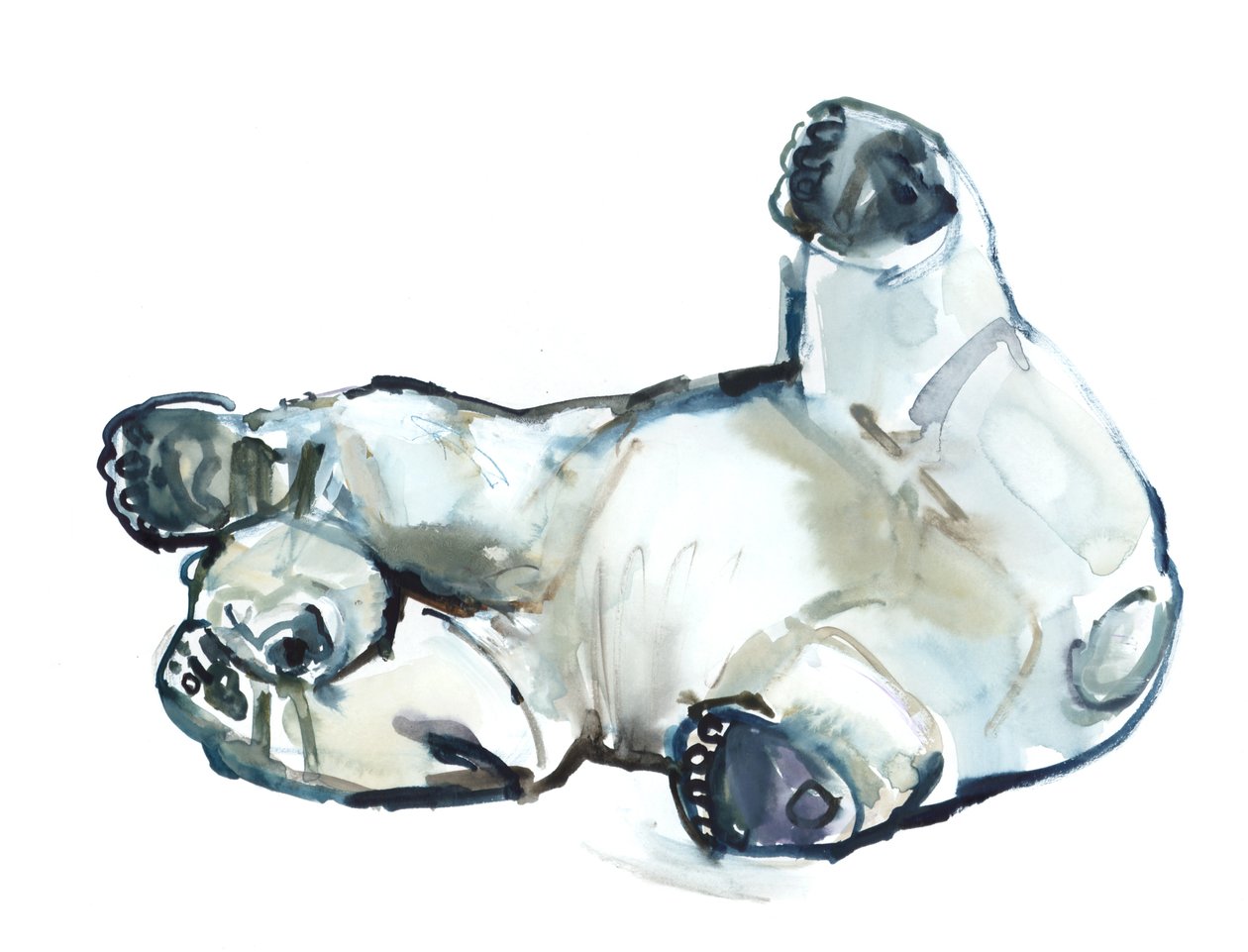Snow Rub (isbjørn), 2013 (akvarel og gouache på papir) af Mark Adlington