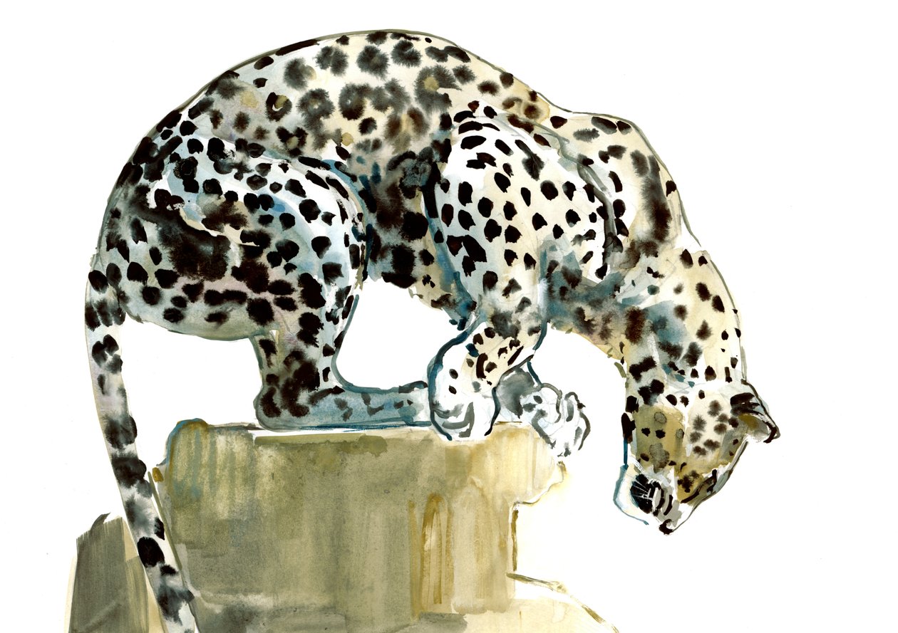 Spine (Arabian Leopard), 2015, (akvarel og gouache på papir) af Mark Adlington