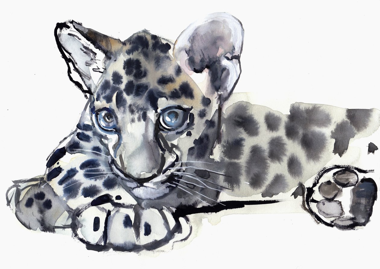 Spotty (arabisk leopardunge), 2008 af Mark Adlington