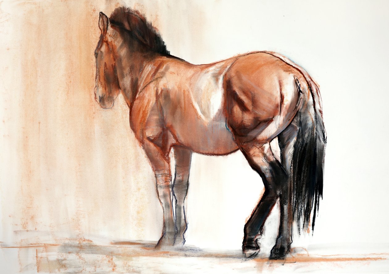 Stand (Przewalski), 2013, (pastel og trækul på papir) af Mark Adlington