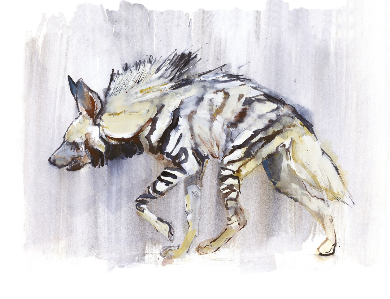 Stribet Hyaena, 2010, (akvarel på papir) af Mark Adlington
