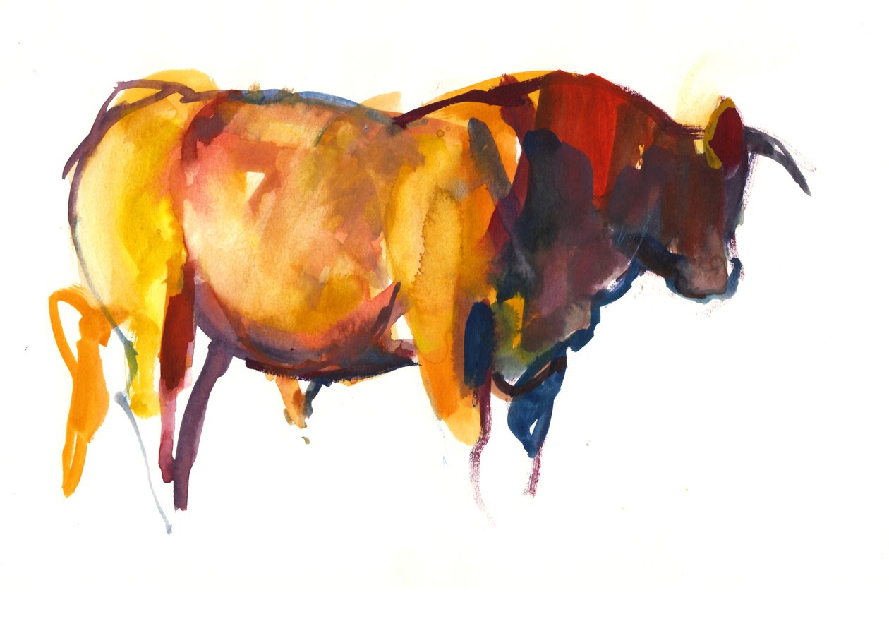 Sunset Bull, 2010 (akvarel og gouache på papir) af Mark Adlington