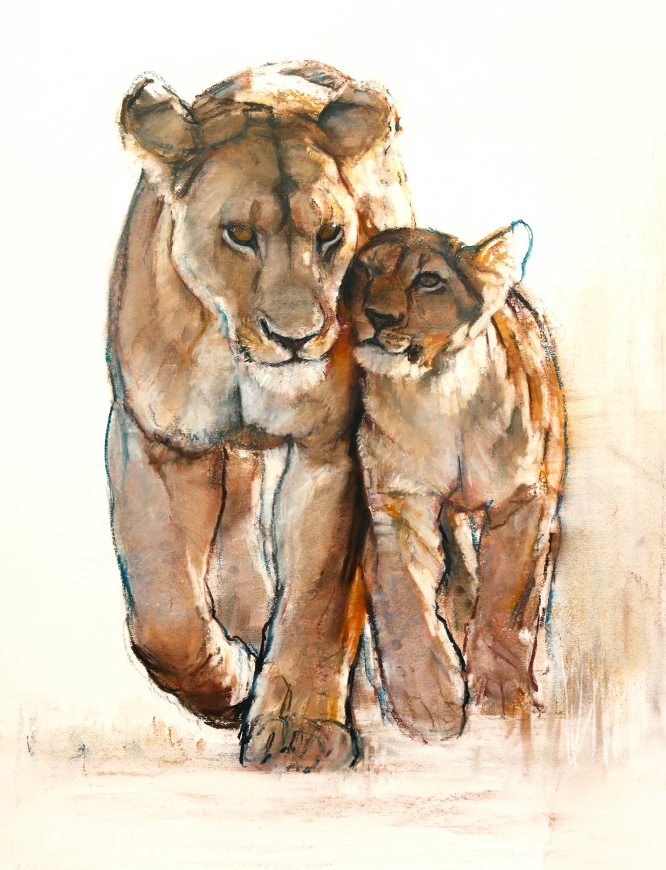 Udbud, 2019 af Mark Adlington