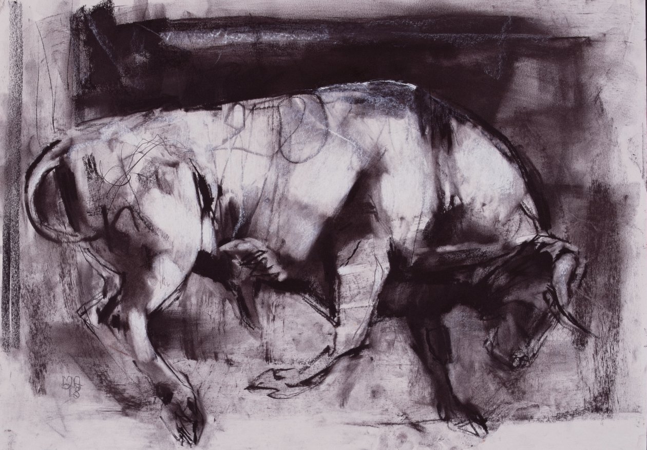 The White Bull (undersøgelse), 1998 (kul på papir) af Mark Adlington