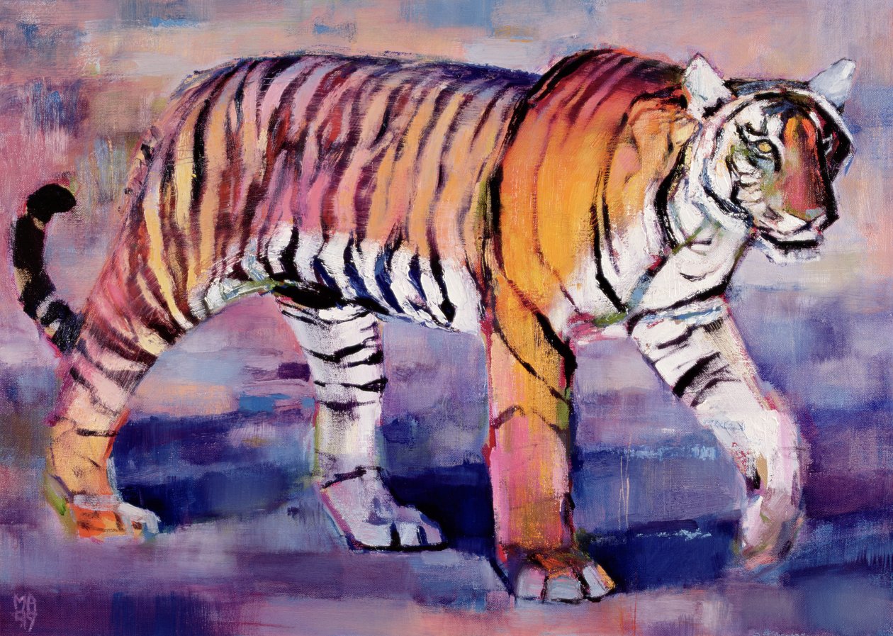 Tigress, Khana, Indien, 1999 af Mark Adlington