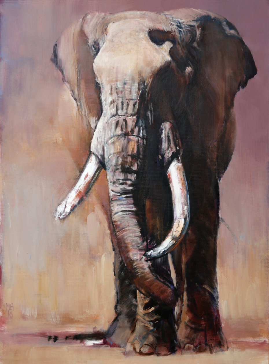 Difference, Chyulu Hills, 2018 af Mark Adlington