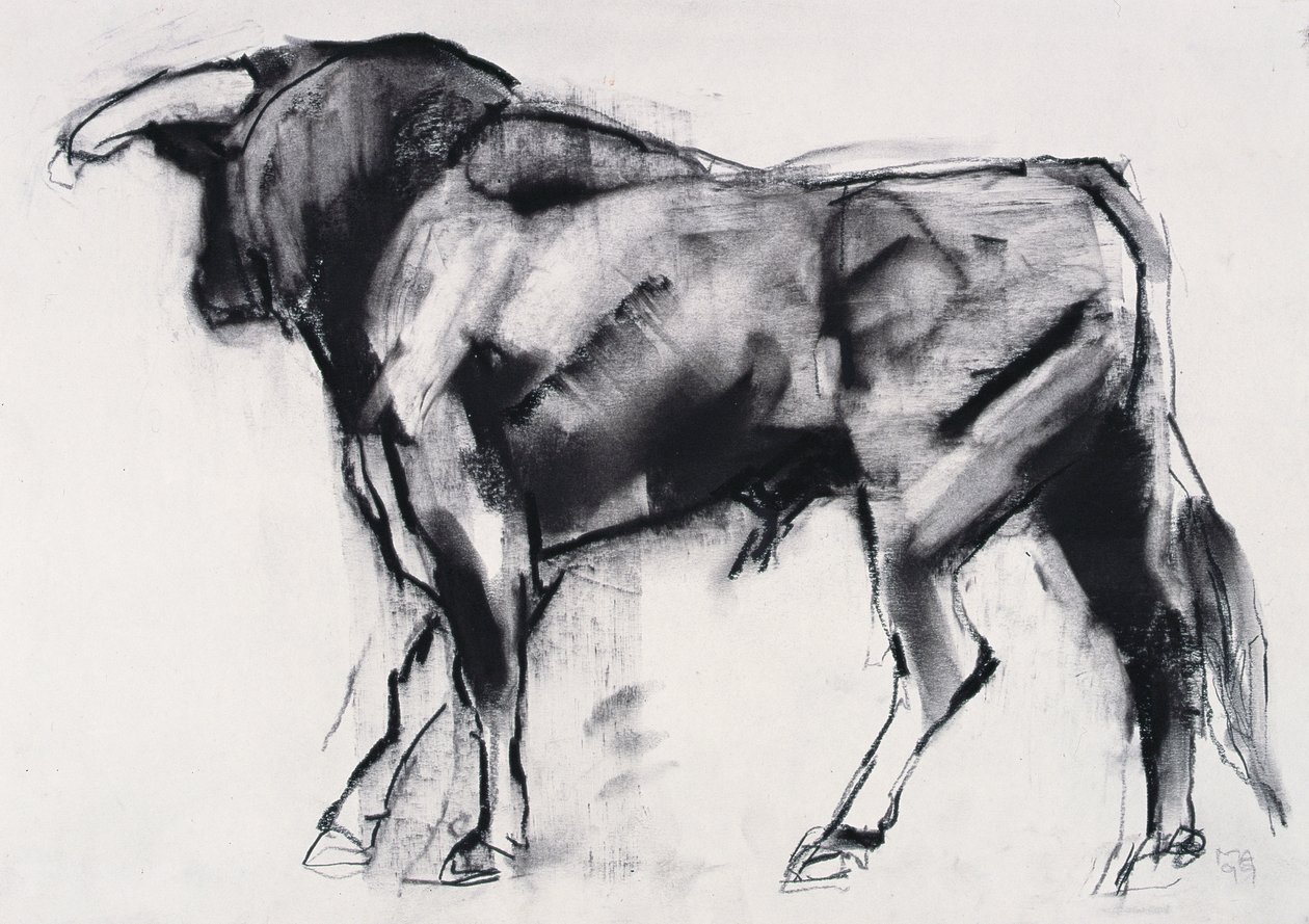 Toro Azul, studie (kul på papir) af Mark Adlington