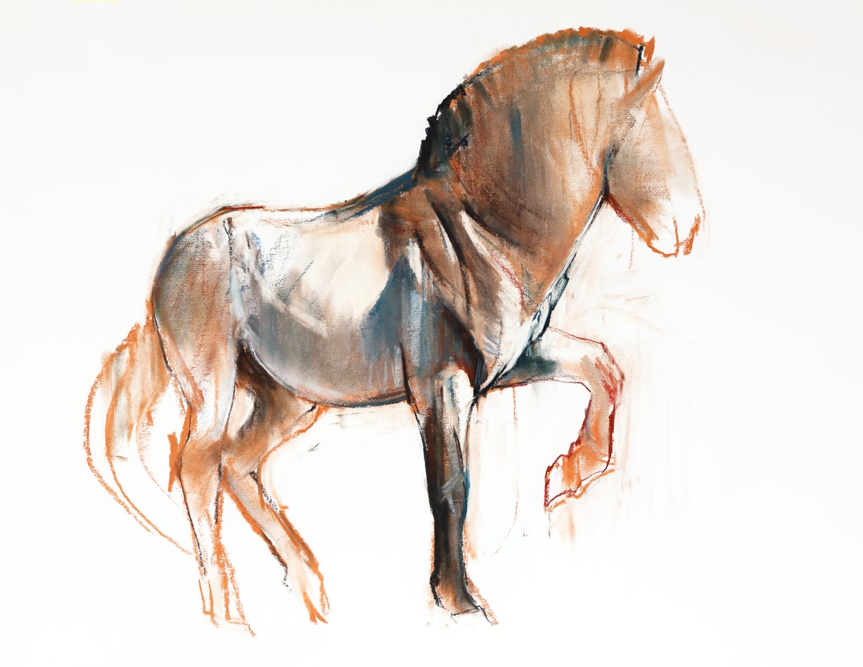 Turning (Przewalski), 2013, (pastel og trækul på papir) af Mark Adlington