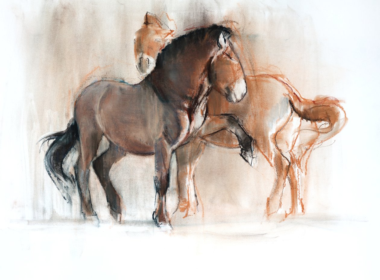 To (Przewalski), 2013, (pastel og kul på papir) af Mark Adlington