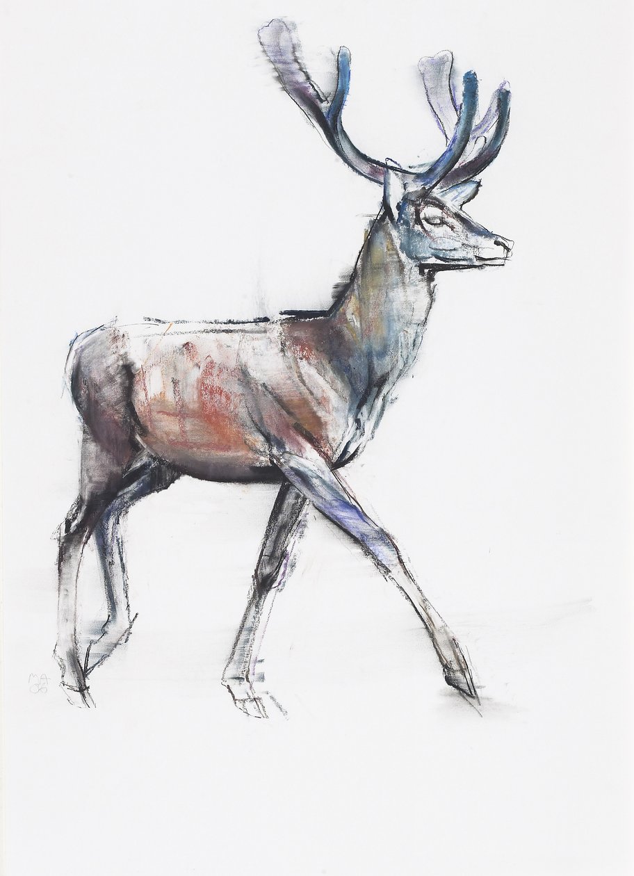 Velvet, 2006 (charcoal und conte på papir) af Mark Adlington