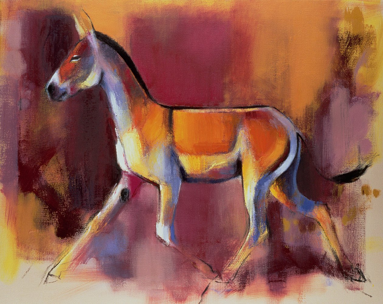 Wild Ass, Rann of Kutch, 1996 af Mark Adlington