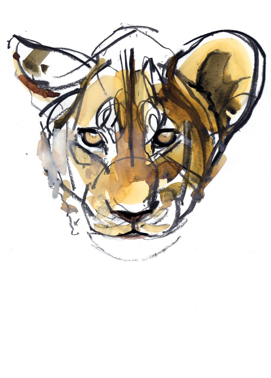 Yellow Cub, 2019 af Mark Adlington