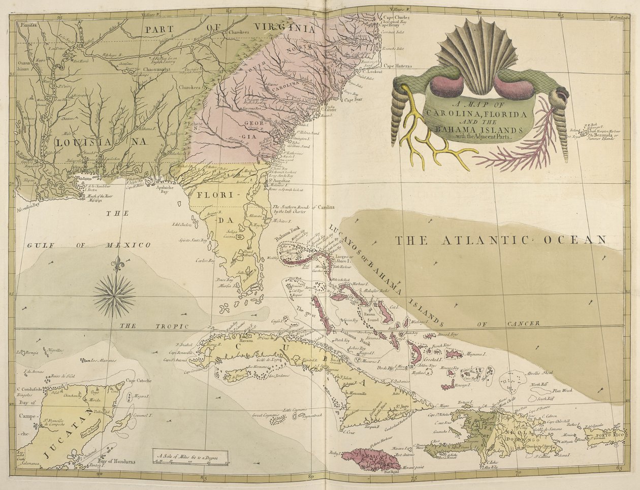 Et kort over Carolina, Florida og Bahama-øerne af Mark Catesby