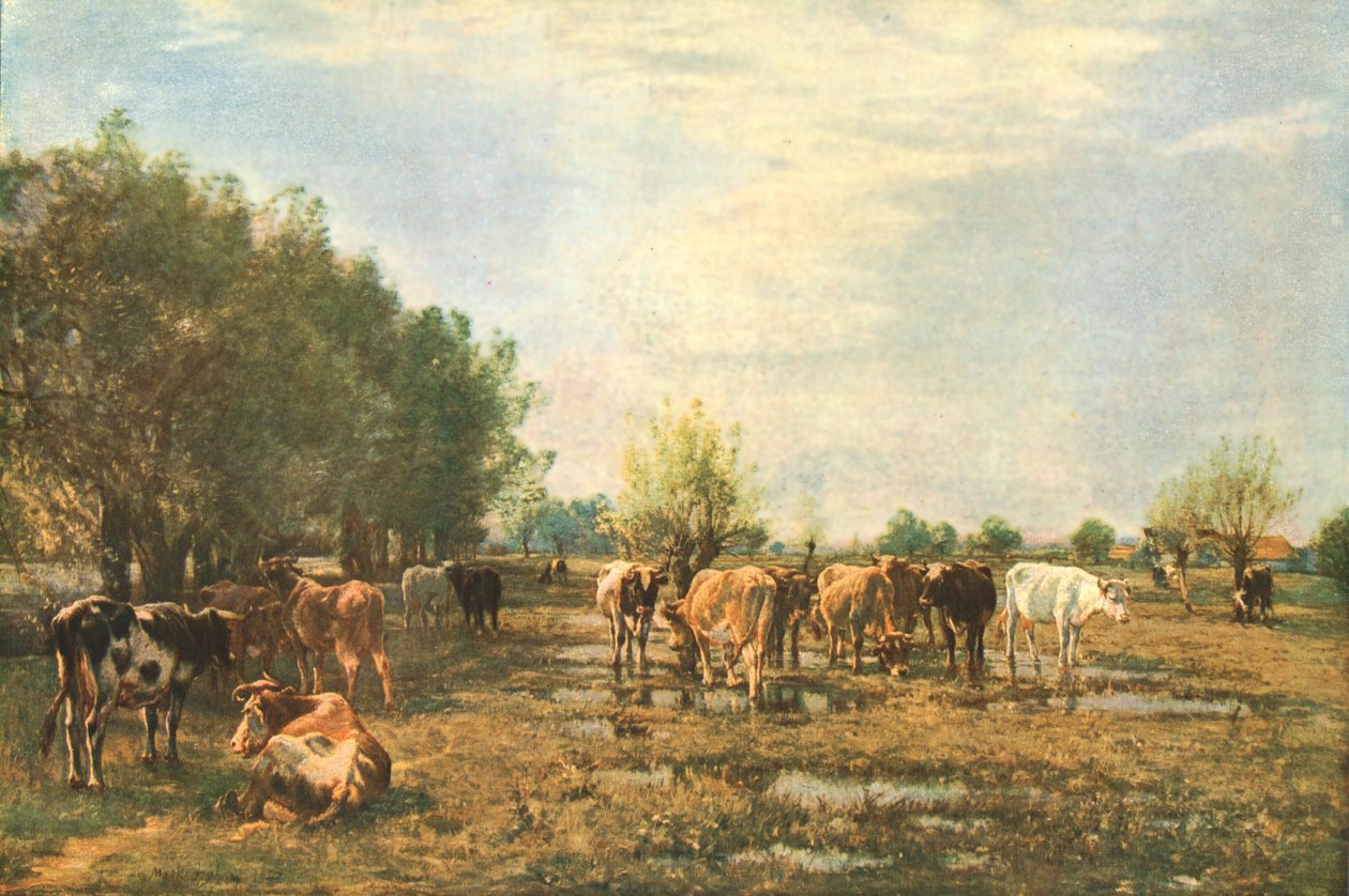 Fen Enge med Kvæg, 1877, c1930. af Mark Fisher