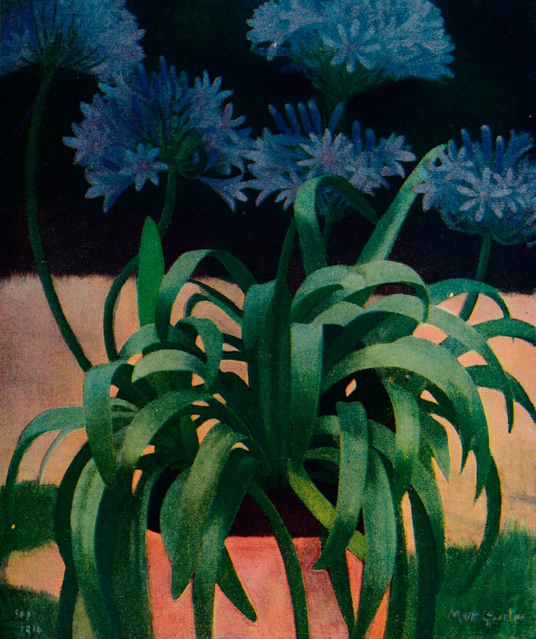 Agapanthus, 1914, c1932 af Mark Gertler