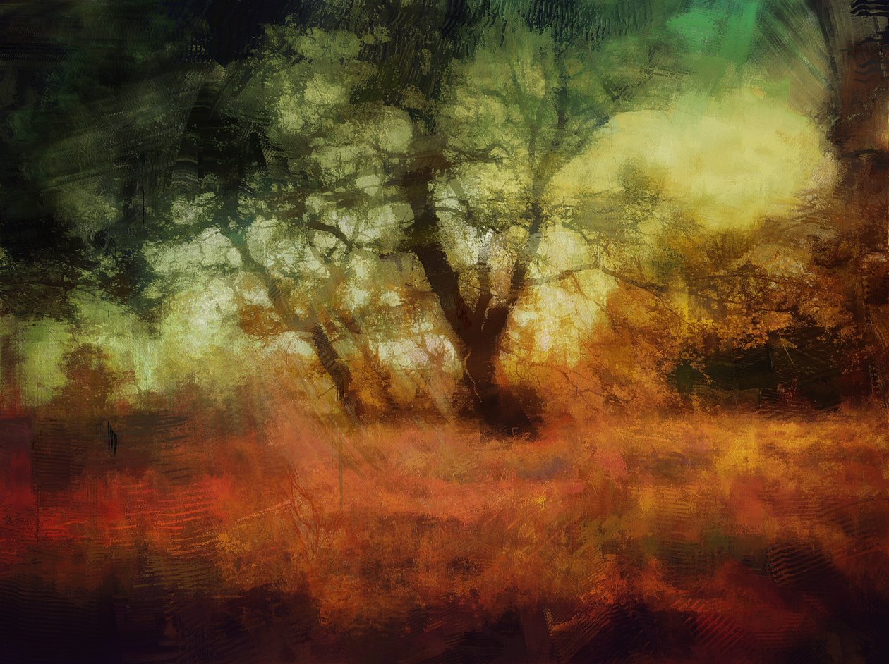 Skoven ved Calke Abbey af Mark Gordon