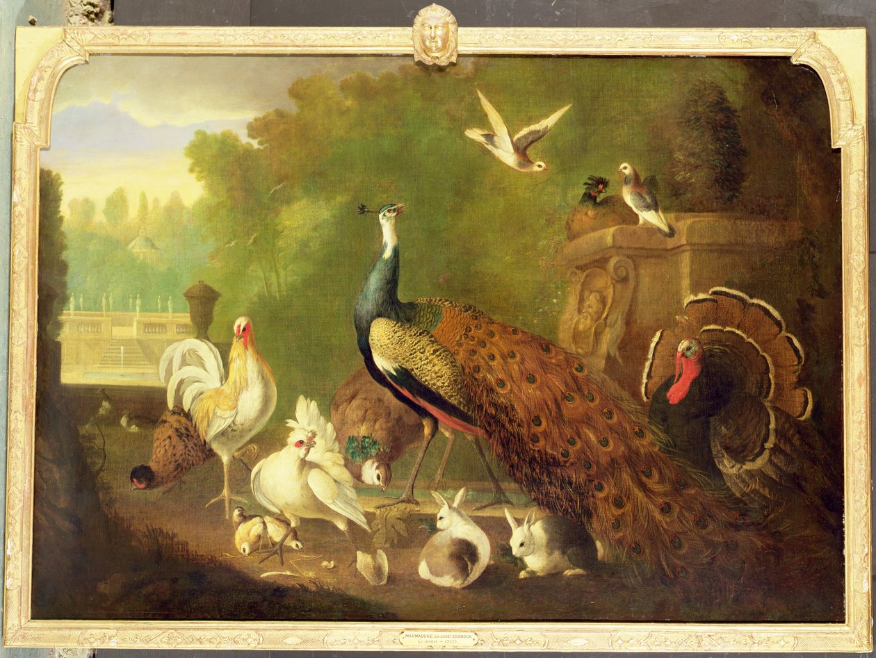 Ukendt billede af Marmaduke Craddock