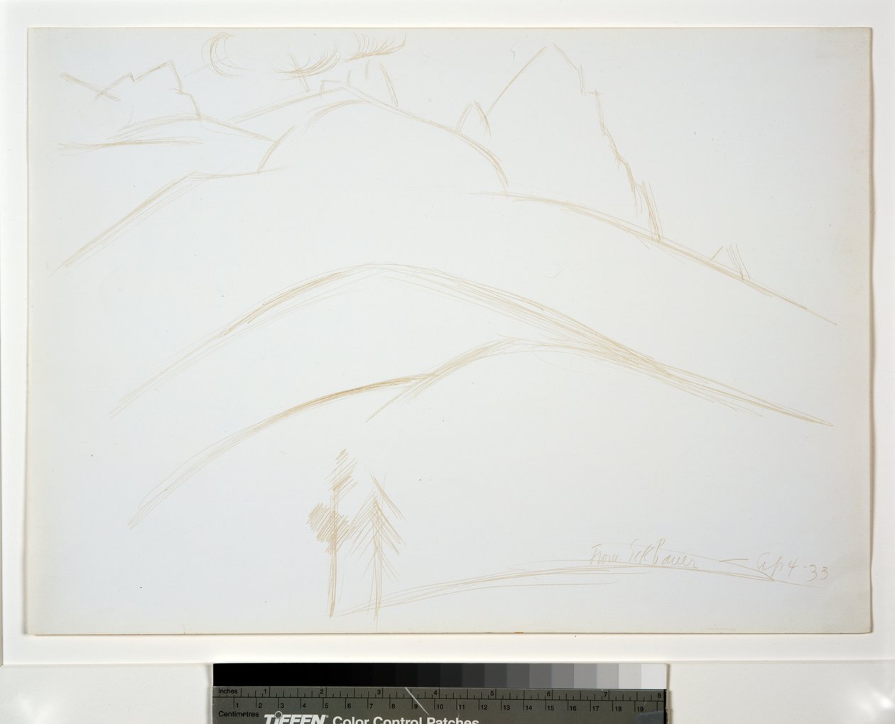 Bjerglandskab med to fyrretræer af Marsden Hartley