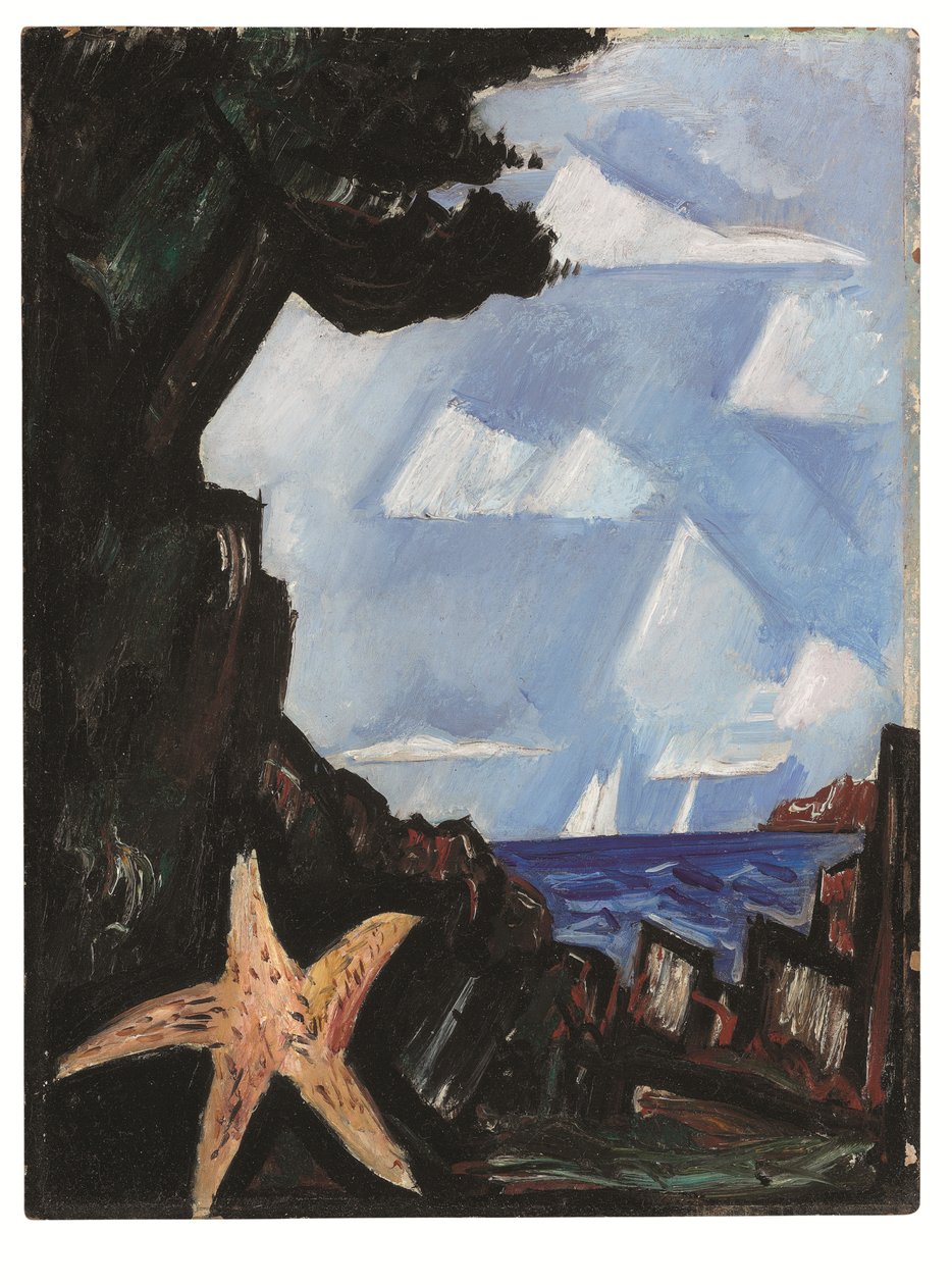 Havudsigt - Søstjerne, New England af Marsden Hartley