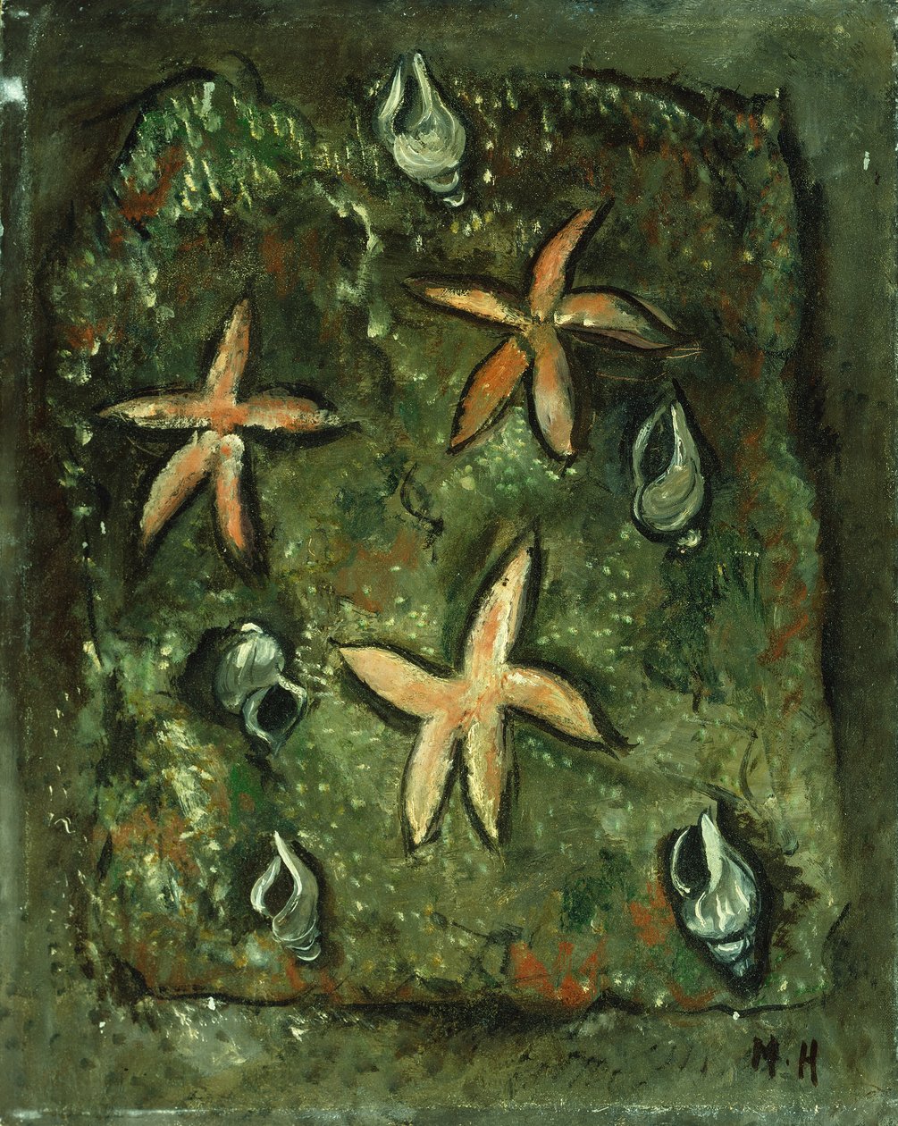 Stjernefisk og skaller af Marsden Hartley