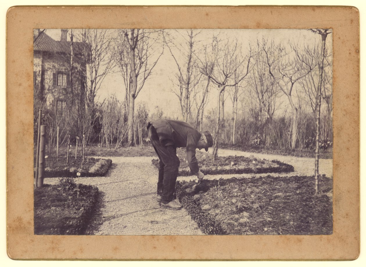 Gustave Caillebotte (1848-94) havearbejde ved Petit Gennevilliers, februar 1892 (bw foto) af Martial Caillebotte